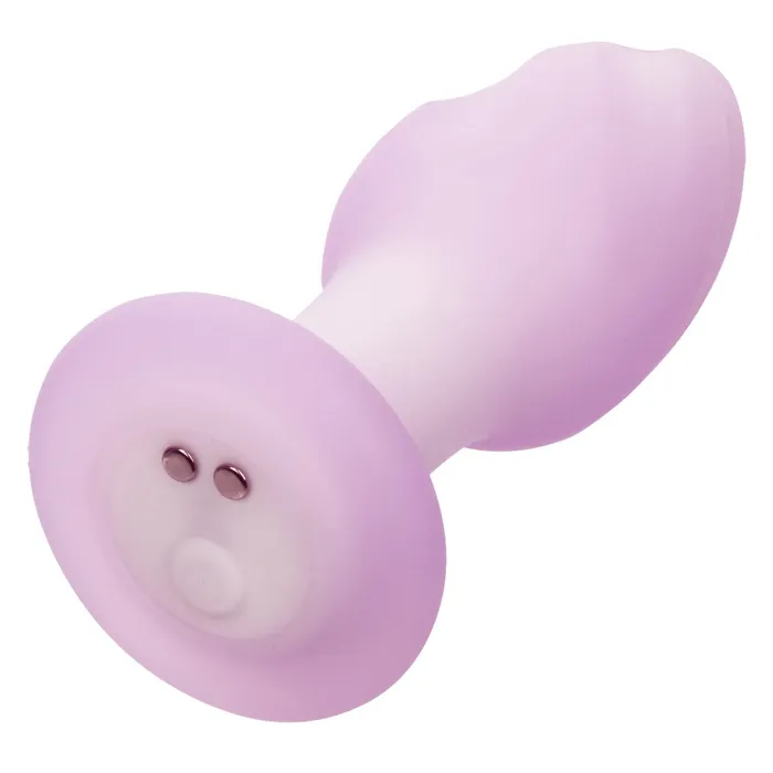 Anal Lavender Haze Ridge Probe CalExotics Anal Lavender Haze Ridge Probe CalExotics